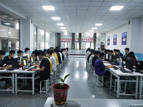 計(jì)算機(jī)網(wǎng)絡(luò)工程 計(jì)算機(jī)專(zhuān)業(yè)中最受歡迎的設(shè)計(jì)與施工領(lǐng)域